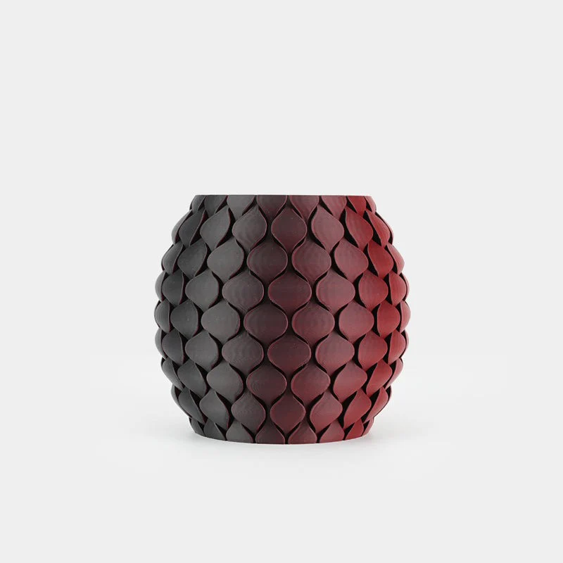 SUNLU Matte PLA Dual-Color 3D Printer Esthenic Filament 1KG, Seamless Two-Tone Shifts & Soft Matte Finish - Image 24
